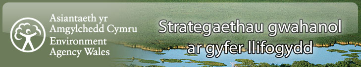Strategaethau gwahanol ar gyfer llifogydd